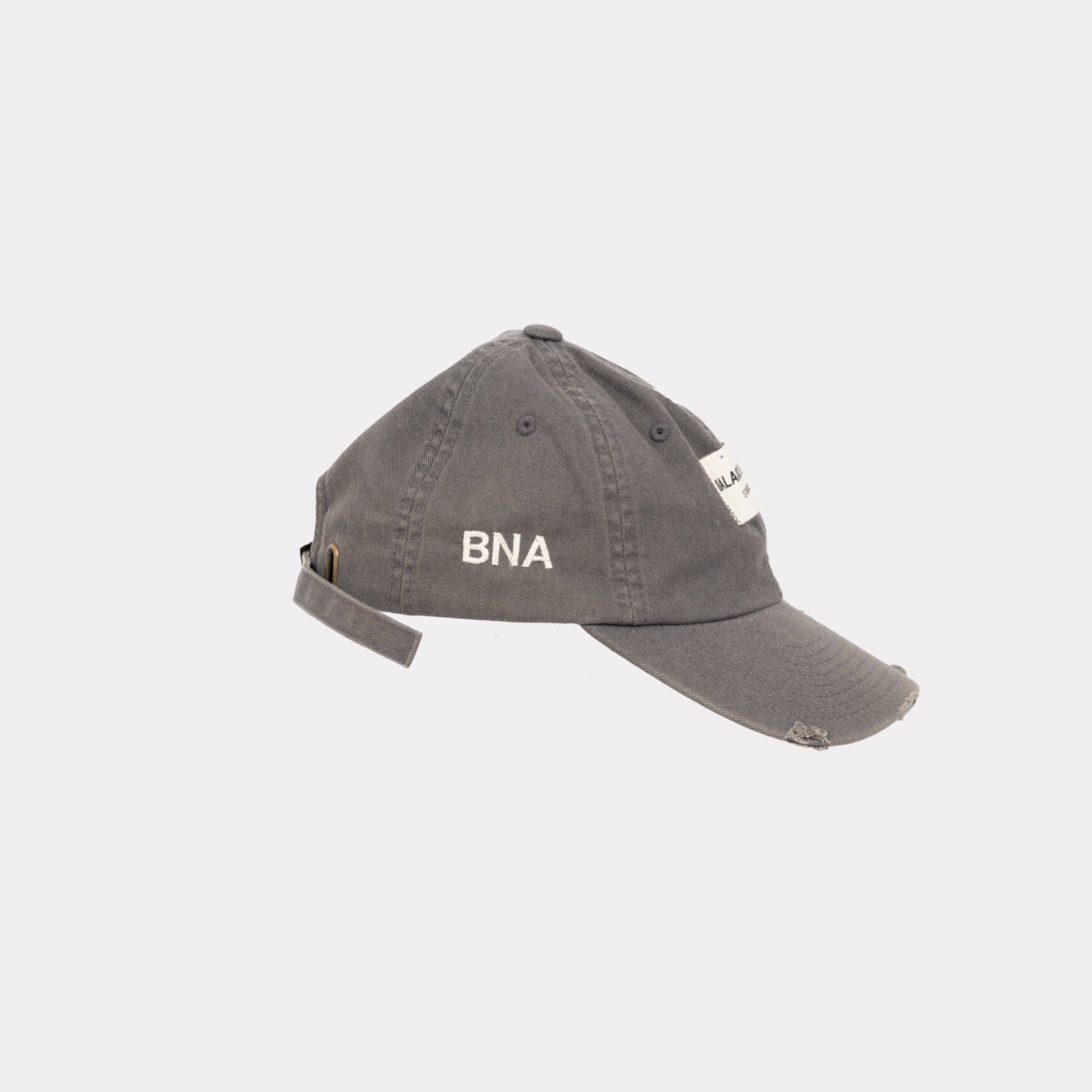 LOW PROFILE BNA STUDIO STRAPBACK